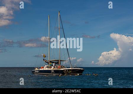 Wassersport vor Grenada Küste Stockfoto