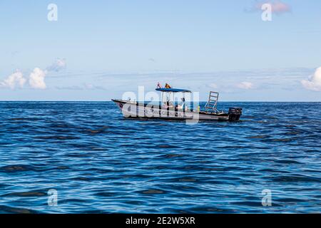 Wassersport vor Grenada Küste Stockfoto