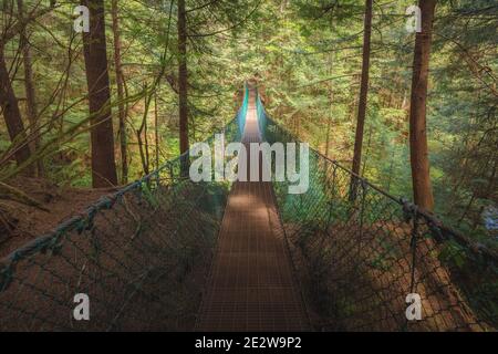 Die Forest Hängebrücke über Pete Wolfe Creek auf dem Juan de Fuca Trail auf dem Weg zum Mystic Beach auf Vancouver Island. Stockfoto