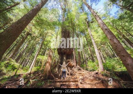 Eine junge Frau erkundet den alten, alten Wachstumswald Upper Avatar Grove und „Kanadas knorrischster Baum“ in der Nähe von Port Renfrew auf Vancouver Island, British C Stockfoto