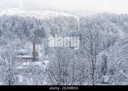 Sittertobel, Sankt Gallen, Schweiz - 15. Januar 2021: Schneebedeckte Bäume Stockfoto