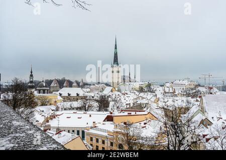 Estland. Tallinn. Januar 14, 2021. Rote Ziegeldächer, Türme und Türme in der Altstadt. Mittelalterliche Architektur des Baltikums. Winter, Stadtlandschaft. Panorama der Stadt. Hochwertige Fotos Stockfoto