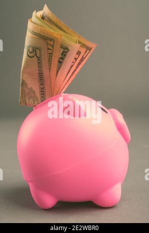 Seitenansicht des Sparschwein mit Dollars Stockfoto