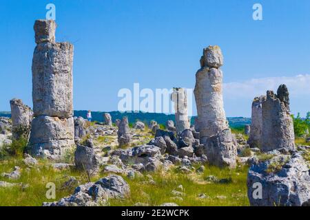 Pobiti Kamani, auch bekannt als Steinwüste, ist ein wüstenartiges Felsenphänomen, das an der nordwestlichen Grenze der Provinz Varna in Bulgarien liegt. Stockfoto