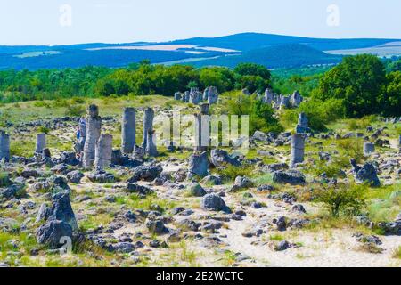 Pobiti Kamani, auch bekannt als Steinwüste, ist ein wüstenartiges Felsenphänomen, das an der nordwestlichen Grenze der Provinz Varna in Bulgarien liegt. Stockfoto