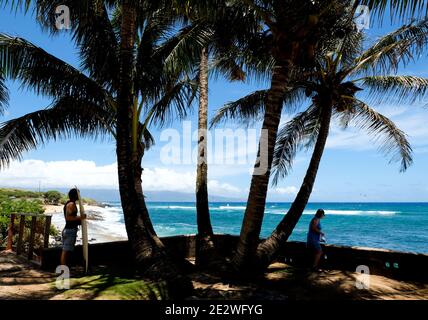 Ein Surfer schützt vor der Sonne unter Palmen am Ho'okipa Beach, Maui, Hawaii, USA. Stockfoto