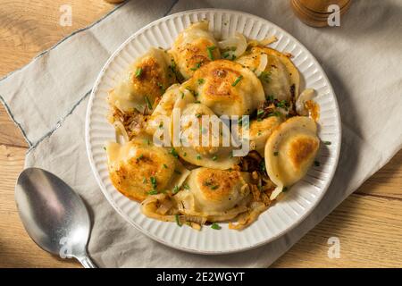 Hausgemachte polnische Kartoffelpierogies mit Zwiebeln und Schnittlauch Stockfoto