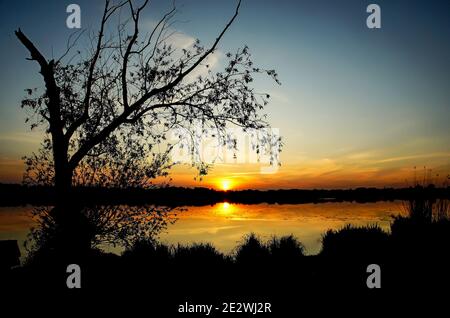 Einsamer Baum am Ufer und ein brennender Sonnenuntergang Ein Frühlingsabend Stockfoto