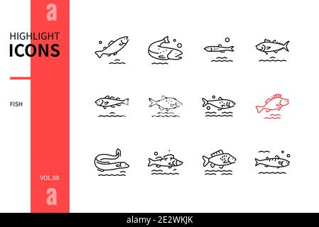 Fisch - Moderne Linie Design Stil Symbole auf weißem Hintergrund gesetzt. Eine Sammlung von Tieren. Forelle, Lachs, Sardellen, Thunfisch, Kabeljau, Brassen, Hering, Aal, Hecht p Stock Vektor