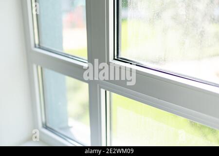 Bereich "großen vier" Fenster mit Blick auf Sommer Garten mit Pool und Garten Stockfoto