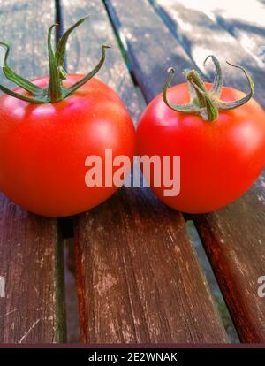 Zwei rote homegrown Tomaten aus einer Gartenernte auf einem Alter Holztisch Stockfoto