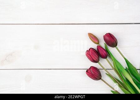 Rote Tulpen auf einem hellen natürlichen Hintergrund. Draufsicht, mit Platz zum Kopieren. Stockfoto