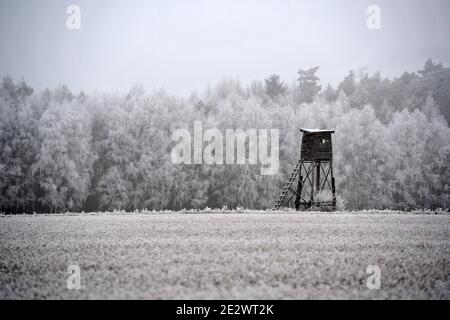 Ceska Lipa, Tschechische Republik. Januar 2021. Hirsch stehen, Holzjäger hohen Sitz verstecken sich auf schneebedeckten Feld während des Wintertages im Böhmischen Paradies in der Tschechischen Republik. Prognosen sagen voraus, dass es in Tschechien in dieser Woche weiterhin schneit und gefriert. Quelle: Slavek Ruta/ZUMA Wire/Alamy Live News Stockfoto