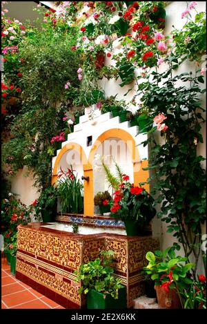 'Patio' im Bild in Cordoba, Spanien am 2009. Mai. Jeden Monat Mai in Cordoba (Spanien), seit 1918, ist es möglich, das einzigartige "Festival" von Gärten und Blumen namens "Fiesta de los Patios Cordobeses" zu bewundern. Jedes Jahr konkurrieren mehr als 50 Gärten, oder "Patios", für den ersten Platz und die Ehre, den schönsten Garten in Cordoba anerkannt werden. Dieses Jahr findet die Veranstaltung zwischen dem 5. Und 16. Mai statt. Foto von Almagro/ABACAPRESS.COM Stockfoto