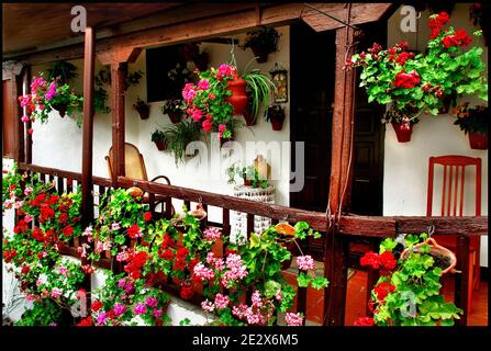 'Patio' im Bild in Cordoba, Spanien am 2009. Mai. Jeden Monat Mai in Cordoba (Spanien), seit 1918, ist es möglich, das einzigartige "Festival" von Gärten und Blumen namens "Fiesta de los Patios Cordobeses" zu bewundern. Jedes Jahr konkurrieren mehr als 50 Gärten, oder "Patios", für den ersten Platz und die Ehre, den schönsten Garten in Cordoba anerkannt werden. Dieses Jahr findet die Veranstaltung zwischen dem 5. Und 16. Mai statt. Foto von Almagro/ABACAPRESS.COM Stockfoto