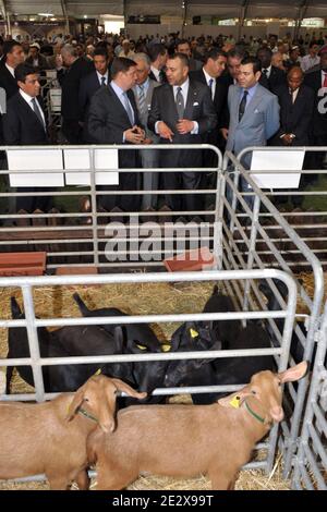 Marokkos König Mohammed VI., begleitet von seinem Bruder Prinz Moulay Rachid, leitet am 28. April 2010 die Eröffnungsfeier der 5. Internationalen Landwirtschaftsmesse SIAM in Meknes, Marokko. Foto von Balkis Press/ABACAPRESS.COM Stockfoto