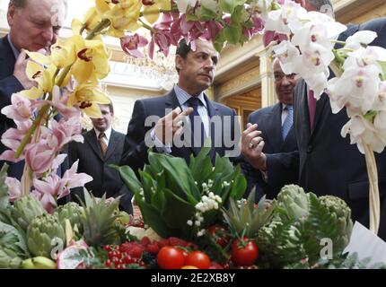 Der französische Präsident Nicolas Sarkozy nimmt am Empfang der Ladenbesitzer auf dem nationalen Lebensmittelmarkt von Rungis Teil, während der traditionellen Maiglöckchen-Zeremonie am 3. Mai 2010 im Elysee-Palast in Paris, Frankreich. Foto von Vladimir Sichov/Pool/ABACAPRESS.COM Stockfoto