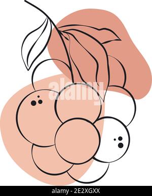 Trauben Früchte Laub Blätter Natur, Linie Kunst mit farbigen Punkt Vektor Illustration Stock Vektor