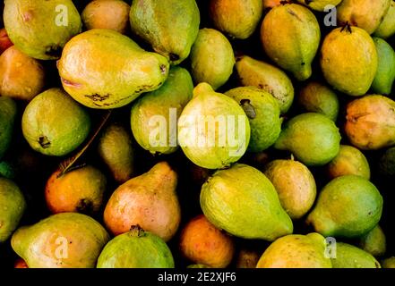 Gruppe von vielen grünen gesunden Guavas nebeneinander bilden Eine Textur Stockfoto