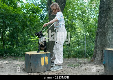 Kind spielen und trainieren französisch Bulldogge oder Welpe mit Stock Auf dem Spielplatz im Park Stockfoto