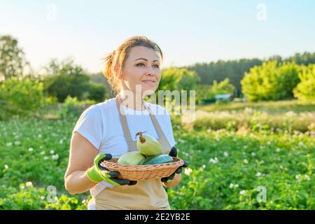 Frau Bauer in Schürze Handschuhe mit Korb von frischen Zucchini Stockfoto