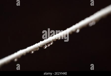 Peterborough, Großbritannien. Januar 2021. Regentropfen auf einer Wäscheleine an einem regnerisch nassen und miserablen Start in den Tag auf dem wie Autos fahren auf den Straßen in Peterborough, Cambridgeshire. Kredit: Paul Marriott/Alamy Live Nachrichten Stockfoto