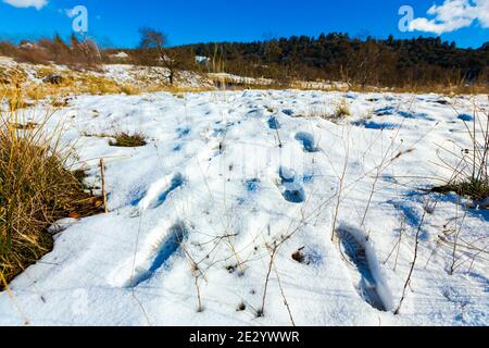Schritte auf weißem Schnee und einem blauen Himmel in Ifrane Stadt Stockfoto
