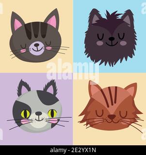 haustiere Symbole Set Katzen Katze Maskottchen Tier, Gesichter auf Blöcken Farbe Design Vektor Illustration Stock Vektor