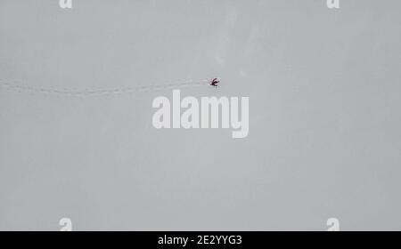 Luftdrohne Aufnahme von einmunter Schneeschulläufer in weiß Leere Winterlandschaft Stockfoto