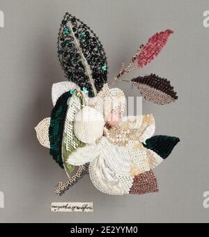 Couture Stickerei von Pfingstrose. Stillleben mit Blumen Stockfoto