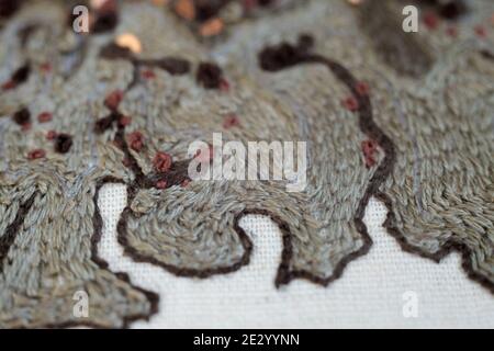 Couture-Stickerei aus Flechten mit luneville Hakenkette stich und französischen Knoten. Stockfoto