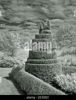 Friedenszeichen in topiary. Stockfoto