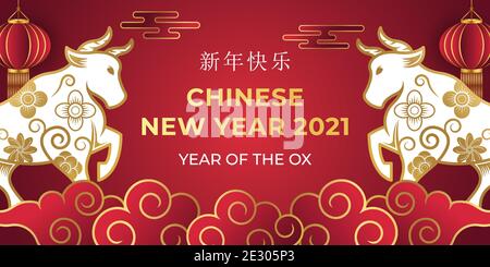 Chinesisches Neujahr 2021 Jahr des Ochsen Hintergrund Vektorgrafik. Happy Chinese New Year 2021 Vektor-Hintergrund-Design. 2021 Chinesisches Neujahrsfest Stock Vektor