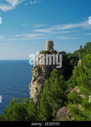 Panorama von Torre del Verger historischen Wachturm mittelmeer Küste Banyalbufar Mallorca Mallorca Balearen Spanien Europa Stockfoto