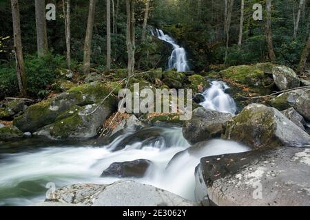 NC00222-00...NORTH CAROLINA - Mouse Creek Falls fließen in Big Creek im Great Smoky Mountains National Park. Stockfoto