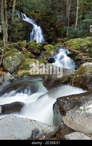 NC00223-00...NORTH CAROLINA - Mouse Creek Falls fließen in Big Creek im Great Smoky Mountains National Park. Stockfoto