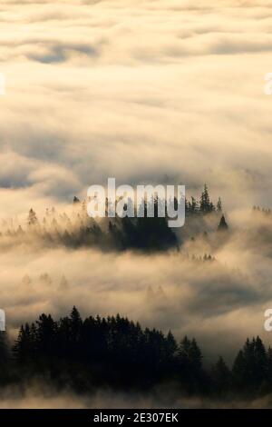 Talnebel vom Mount Pisgah Summit, Howard Buford County Park, Eugene, Oregon Stockfoto