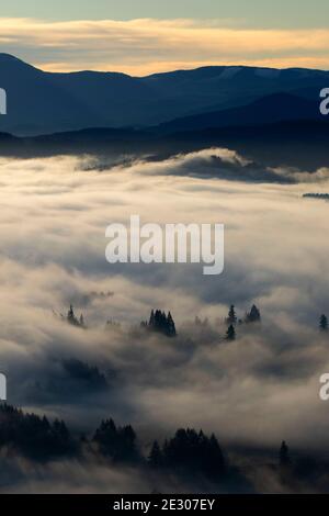 Talnebel vom Mount Pisgah Summit, Howard Buford County Park, Eugene, Oregon Stockfoto