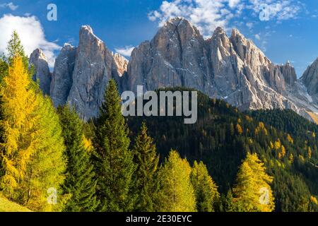 Blick auf die Geisler-Gruppe von der Straße nach Malga Zannes. Villnösser Tal, Dolomiten, Trentino-Südtirol, Italien. Stockfoto