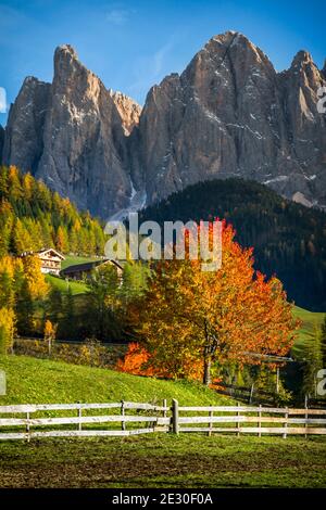 Blick auf die herbstlichen Farben in der Nähe der Stadt St. Magdalena. Villnösser Tal, Dolomiten, Trentino-Südtirol, Italien. Stockfoto