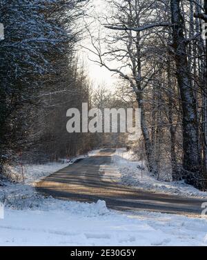Eine eisige und verschneite Winterstraße, die durch einen Wald führt. Bild aus Eslov, Südschweden Stockfoto