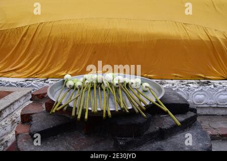 Ein Tablett mit Lotusknospen in einem buddhistischen Tempel, oder Wat, in Thailand. Die Blumen werden verwendet, um Respekt zu zahlen. Stockfoto