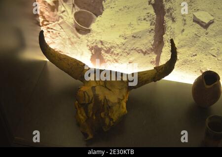 Ausstellung von Mumien, Artefakten und ägyptischen Funden im Ägyptischen Museum von Turin Stockfoto