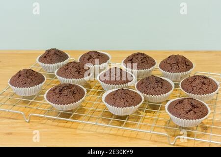 Schokolade Märchen Kuchen, Cupcakes in Fällen Kühlung auf einem Drahtgestell, Großbritannien Stockfoto