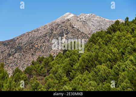 Gipfel von Torrecilla im Nationalpark Sierra de las Nieves in der Sierra Ronda, Malaga. Andalusien, Spanien Stockfoto