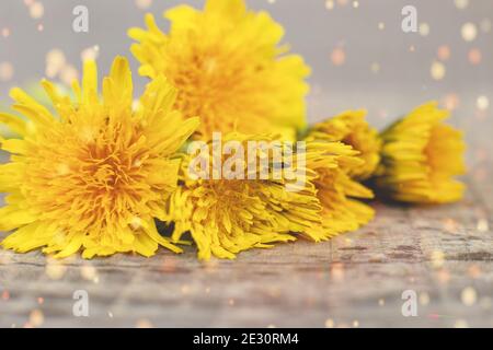 Ein Strauß Löwenzahn liegt auf dem Tisch Stockfoto