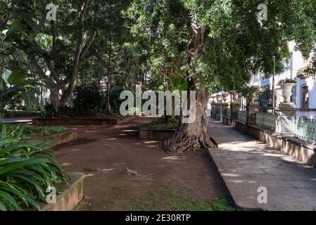 Quadrat der Prinz von Asturien, Santa Cruz de Tenerife. Spanien Stockfoto