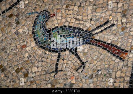 Ein farbenprächtiger Vogel mit blauem und grünem Gefieder und einem langen dunkelroten Schwanz tritt über den Mosaikpflaster in die byzantinische Basilica di San Vitale in Ravenna, Emilia-Romagna, Italien. Die Kirche wurde im Jahre 547 n. Chr. geweiht, aber obwohl einige der Bodenmosaiken ursprüngliche byzantinische Arbeit sind, vor allem an der Peripherie, sind andere neuere oder Rekonstruktionen. Stockfoto