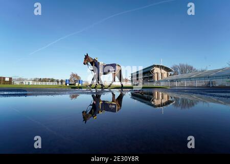 Ein Läufer spiegelt sich in einer Pfütze wider, wenn er im Pre-Parade Ring auf der Warwick Racecourse spaziert. Stockfoto