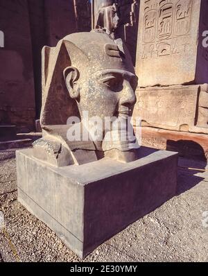 Luxor. Dies ist die Büste von Ramesses II am Eingang zum 3500 Jahre alten UNESCO-Weltkulturerbe des Tempels von Luxor, Teil des größten Tempelkomplexes der Welt, am Nil in der Stadt Luxor, die früher in der Antike als Theben bekannt war, Bau von denen ist weitgehend auf den Pharao König Ramesses II gutgeschrieben, Ramesses der große Stockfoto